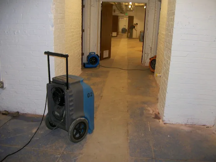 Complete Carpet Care, Inc. Picture 2