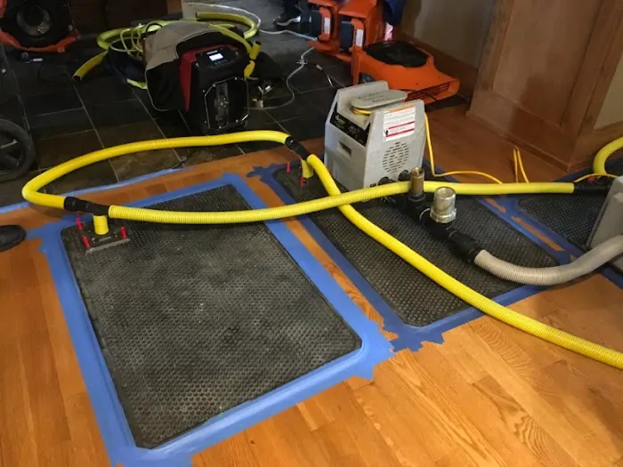 Complete Carpet Care, Inc. Picture 8