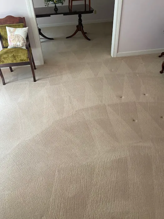 Charles' Chem-Dry Carpet Cleaning Picture 4