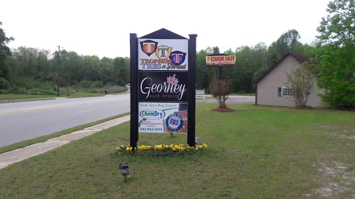 Charles' Chem-Dry Carpet Cleaning Picture 2