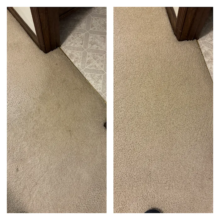 Charles' Chem-Dry Carpet Cleaning Picture 3