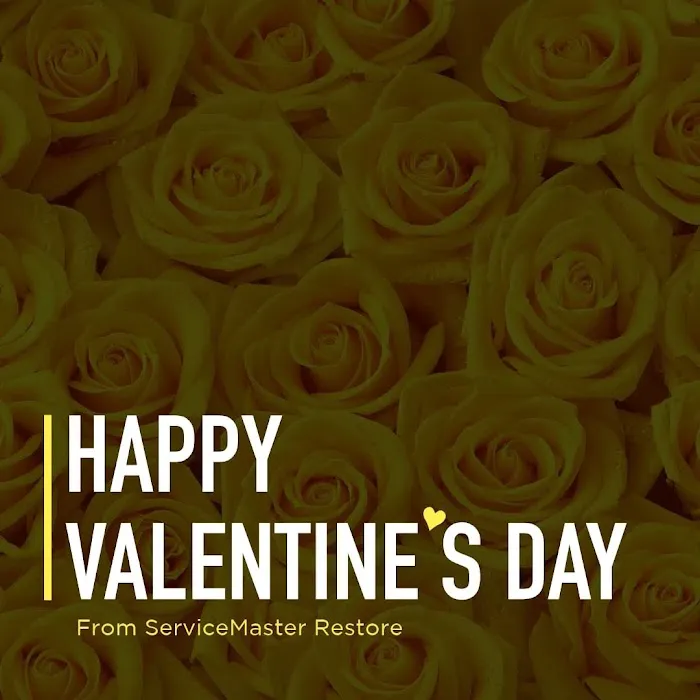 ServiceMaster Fire & Water Restoration Florence Picture 4