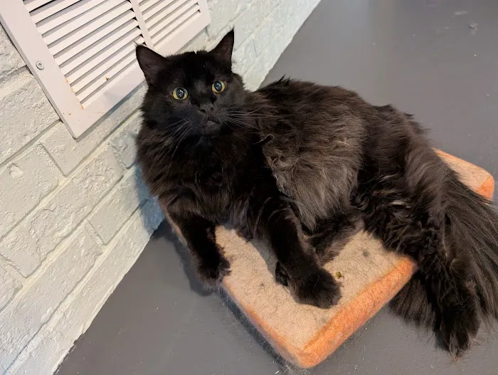 ServiceMaster Fire & Water Restoration Florence Picture 10