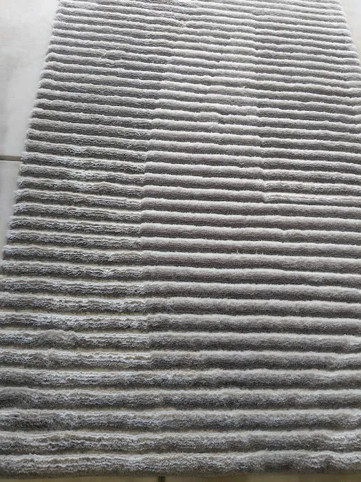 Stanley Steemer Picture 1