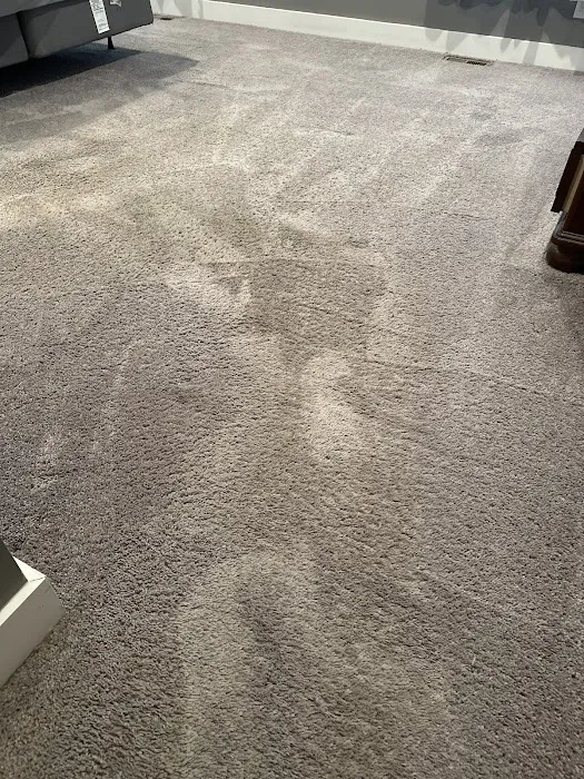 Stanley Steemer Picture 3