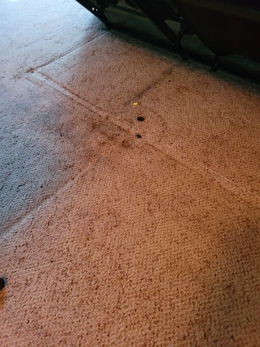 Stanley Steemer Picture 7