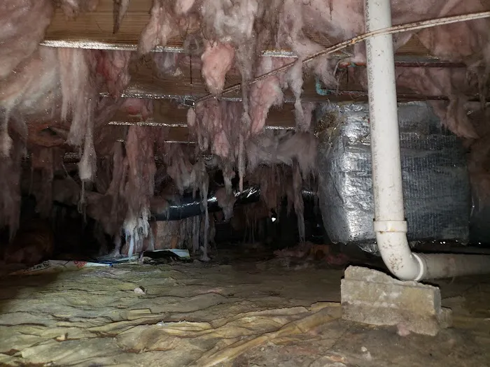 Grand Strand Moisture Solutions Picture 8