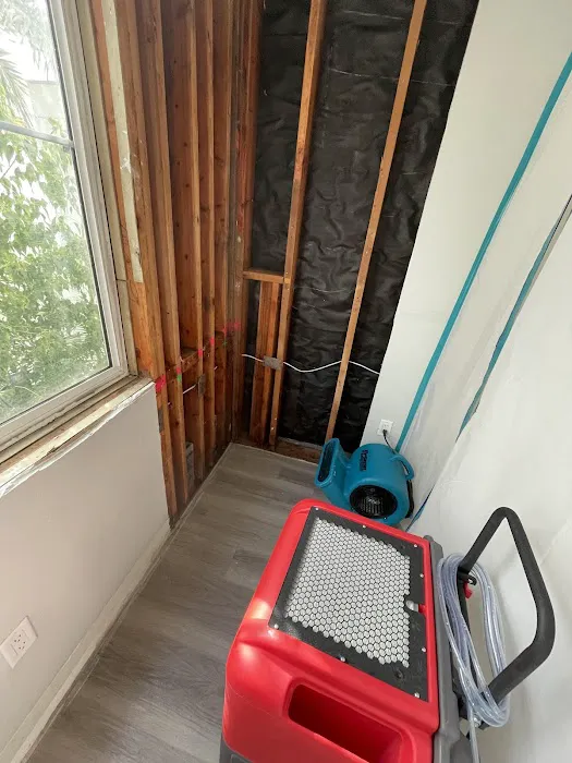 Sasser Restoration Picture 9