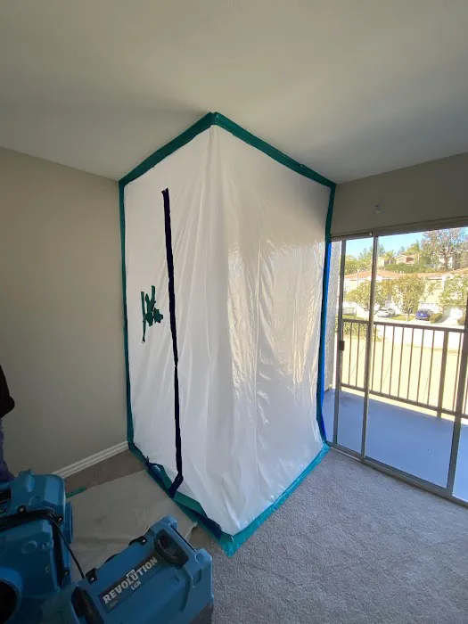 Sasser Restoration Picture 1