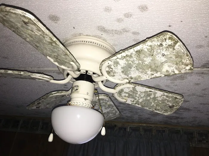 Restoration 1 of Horry County Picture 10