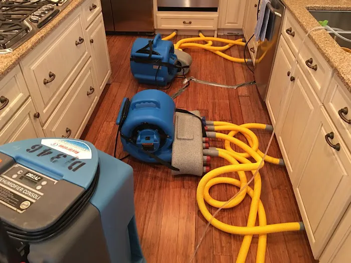 Restoration 1 of Horry County Picture 7