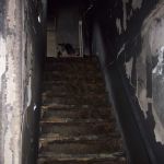 KELPRO Fire & Water Restoration