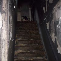 KELPRO Fire & Water Restoration ico