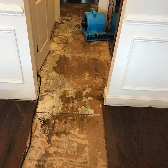 Roto-Pat, Inc. Picture 3