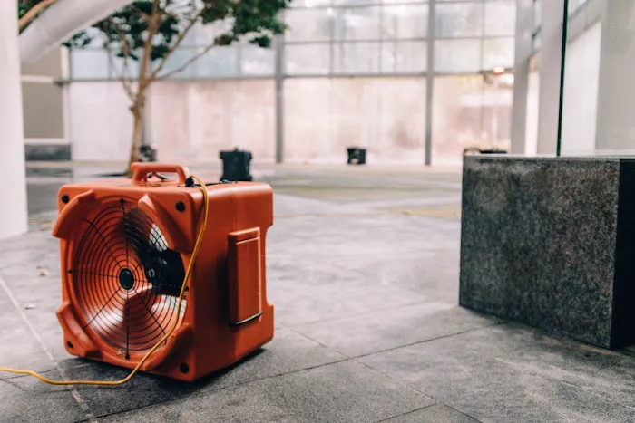 Cotton Global Disaster Solutions - Conway Picture 5