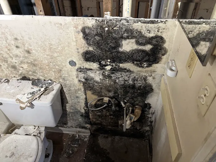 True North Restoration of Myrtle Beach Picture 6