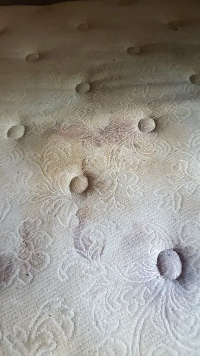 Thuro Clean Services Picture 10