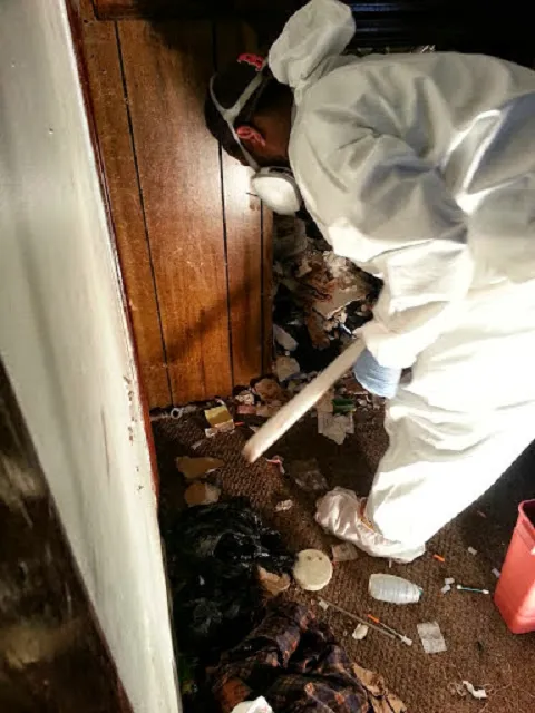 AuntieGen | Mold Removal in Myrtle Beach Picture 1