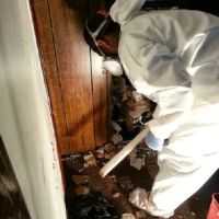 AuntieGen | Mold Removal in Myrtle Beach ico