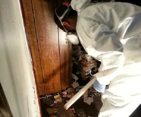 AuntieGen | Mold Removal in Myrtle Beach