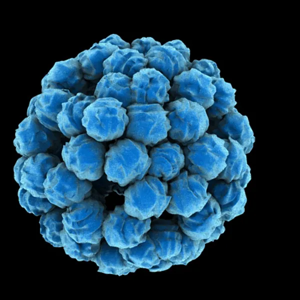 AuntieGen | Mold Removal in Myrtle Beach Picture 9