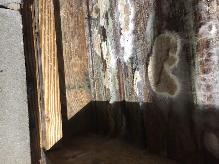 HQ Solution LLC Picture 9