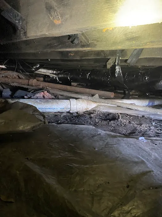 Green Home Solutions Picture 6