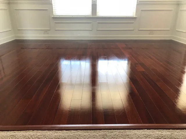 Clear Water Carpet Cleaning Picture 6