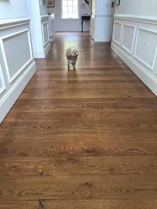 Clear Water Carpet Cleaning Picture 3