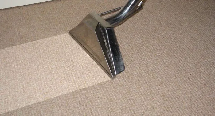 MWM Carpet Cleaning Services Picture 5