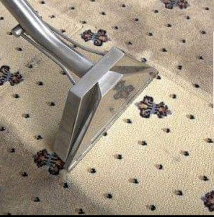MWM Carpet Cleaning Services Picture 2