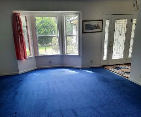 Hardee's Carpet Cleaning