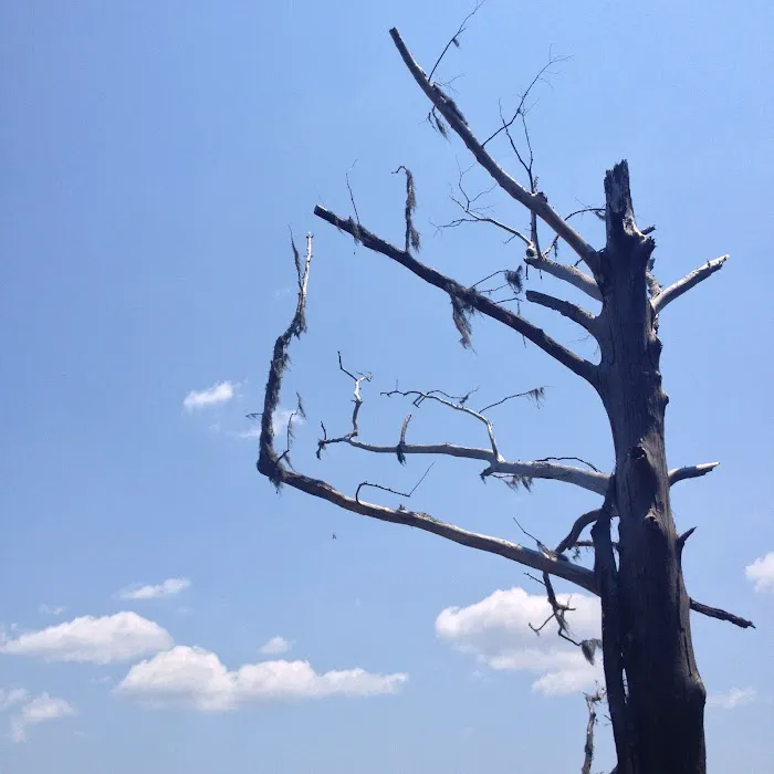 SERVPRO of Brunswick & South Columbus Counties Picture 7