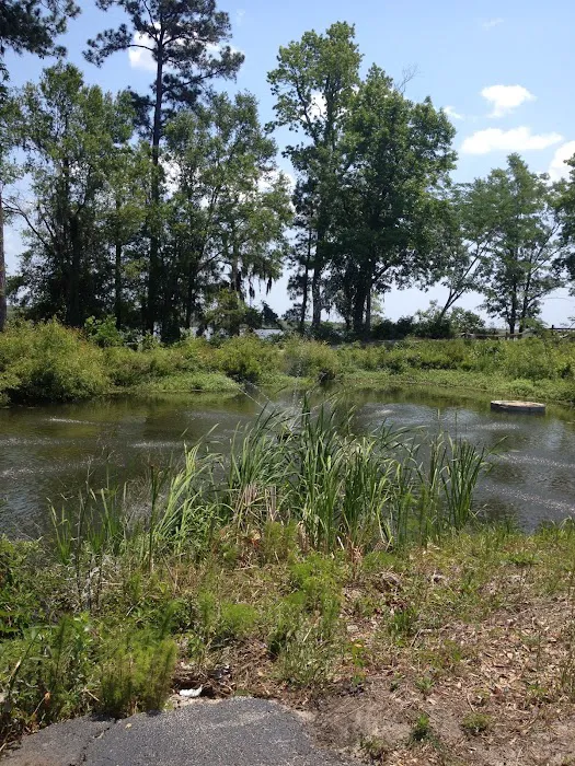 SERVPRO of Brunswick & South Columbus Counties Picture 2