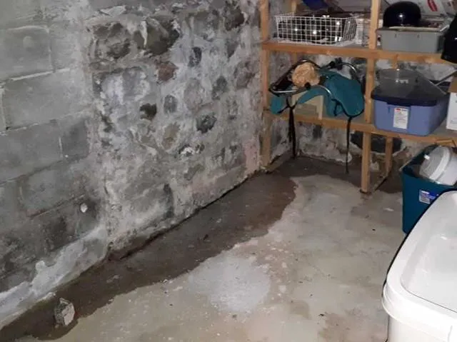 Superb Water Damage Solutions Picture 1