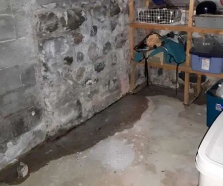 Superb Water Damage Solutions