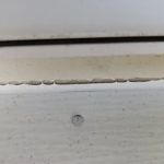 WARNER RESTORATION INC