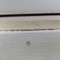 WARNER RESTORATION INC ico