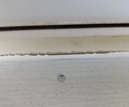 WARNER RESTORATION INC