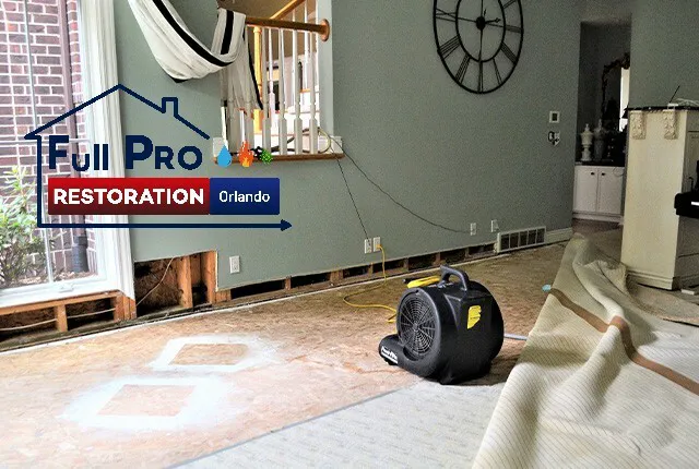 Full Pro Restoration Orlando Picture 7