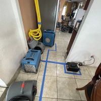 Biohome Restorations ico