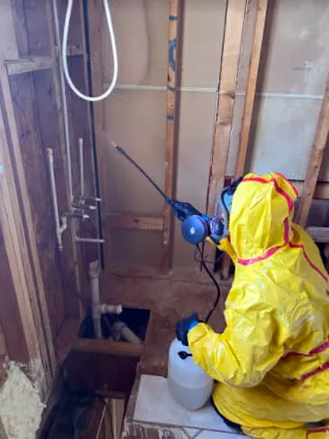 Sun Restoration Picture 1