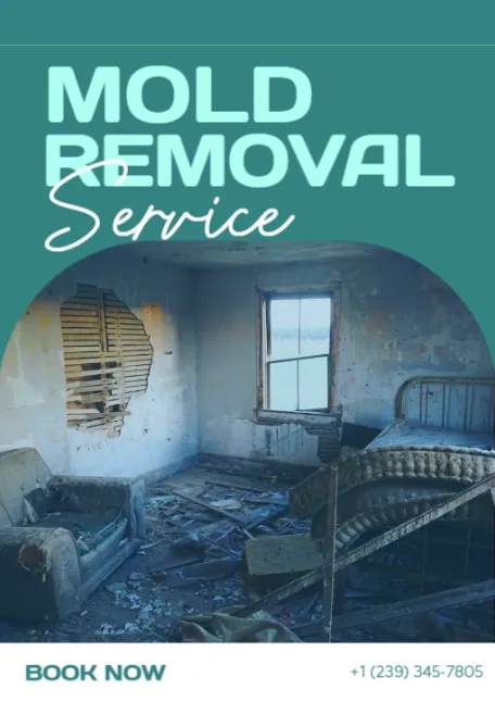 ZND-RAHAM Mold Removal & Mold Remediation Service Cloud, FL Picture 2