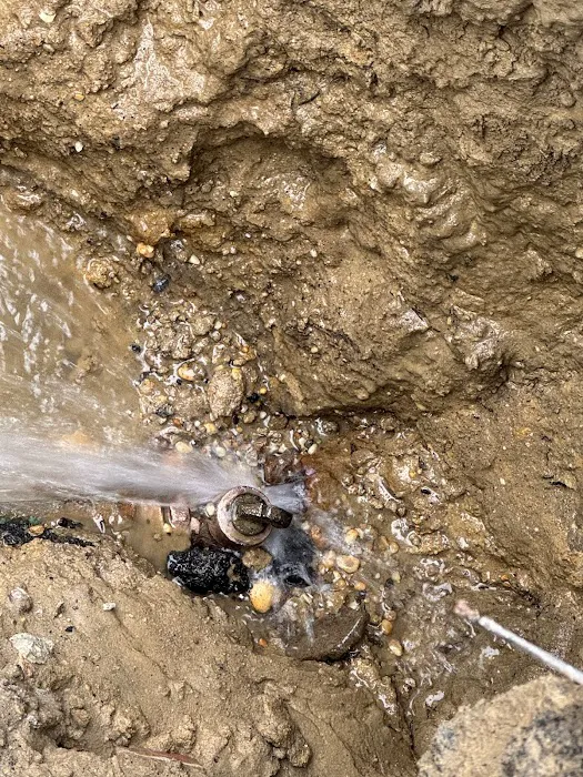 Accurate Leak Detection Picture 1