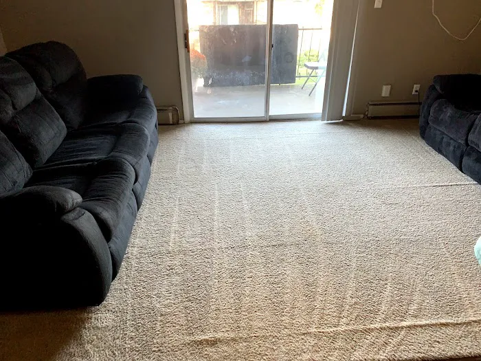 StrictlybusinesscleaningservicePRO Picture 7