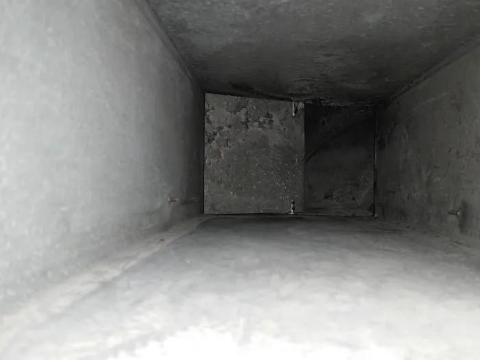 StrictlybusinesscleaningservicePRO Picture 1