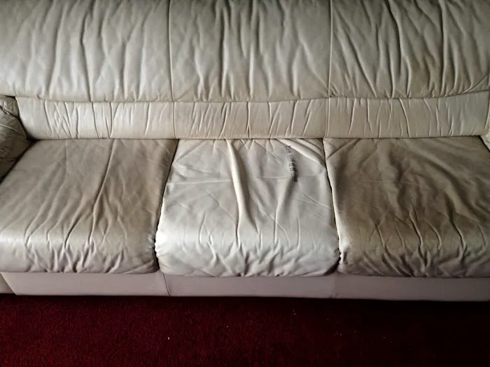 StrictlybusinesscleaningservicePRO Picture 2