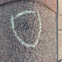 NextGen Restoration ico