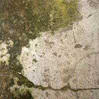 Phoenix Mold Removal ico