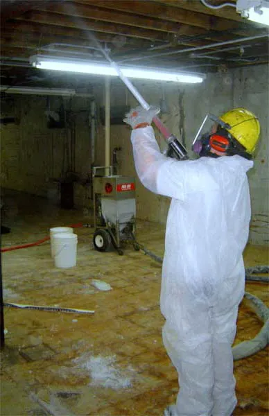 Phoenix Mold Removal Picture 7